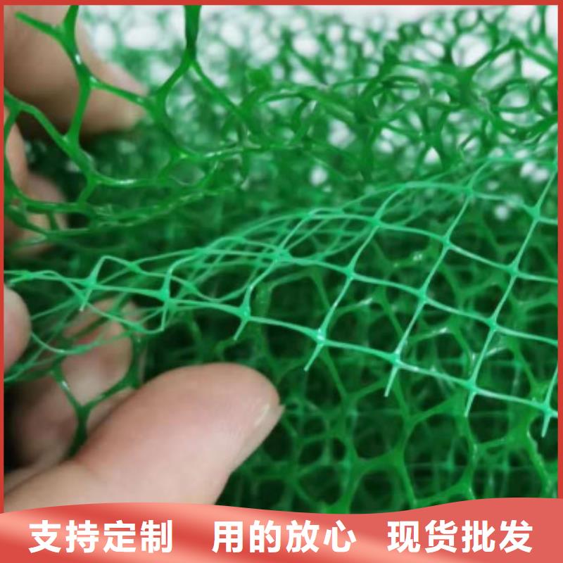 三维植被网排水板卓越品质保障