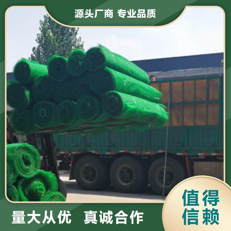三维植被网-植草格源头厂家