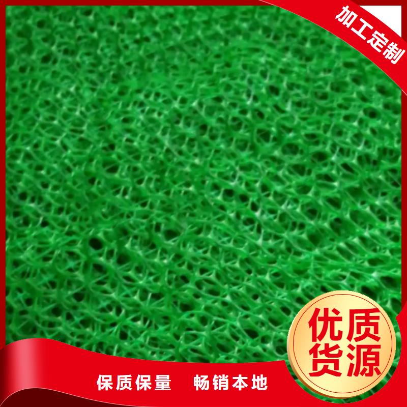 三维植被网-水泥化粪池工厂直营