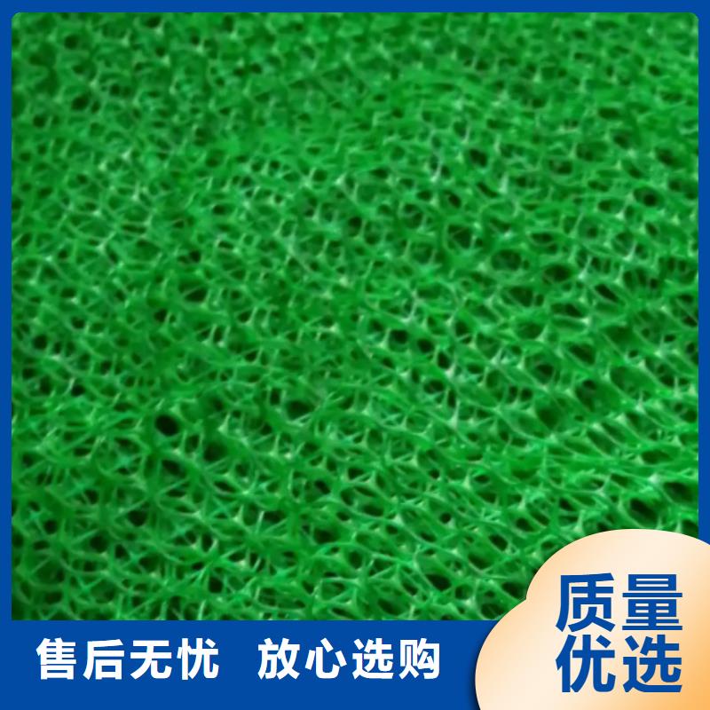 《朋联》呼伦贝尔|包头|鄂尔多斯|乌兰察布|乌海|阿拉善【三维植被网】,植草格无中间商厂家直销生产商