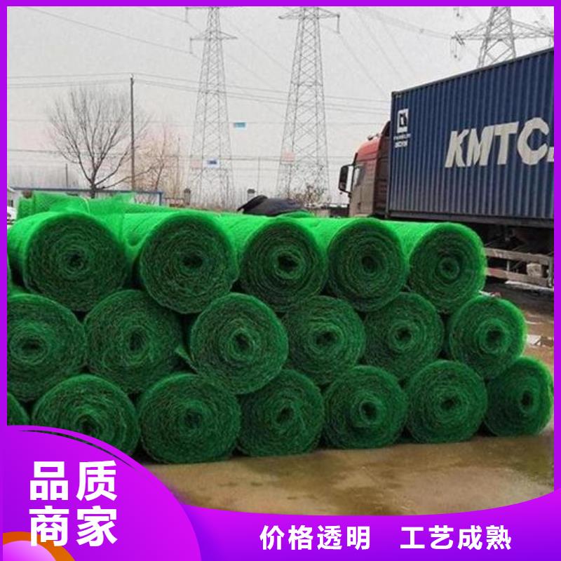 《朋联》呼伦贝尔|包头|鄂尔多斯|乌兰察布|乌海|阿拉善【三维植被网】,植草格无中间商厂家直销生产商