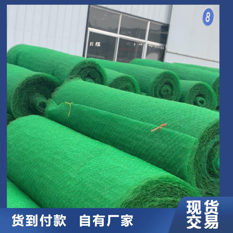 三维植被网-植草格源头厂家