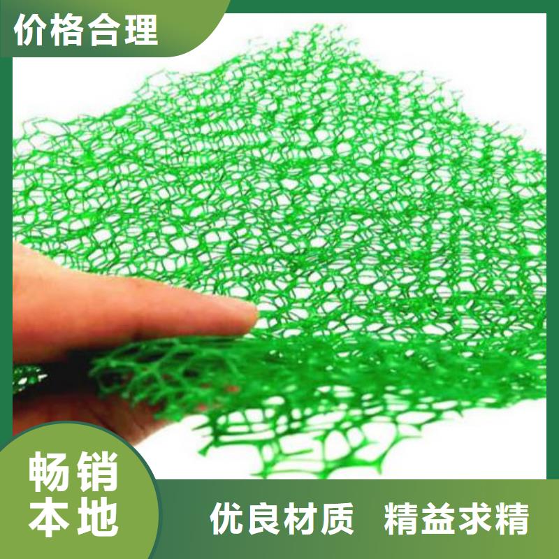 《朋联》呼伦贝尔|包头|鄂尔多斯|乌兰察布|乌海|阿拉善【三维植被网】,植草格无中间商厂家直销生产商