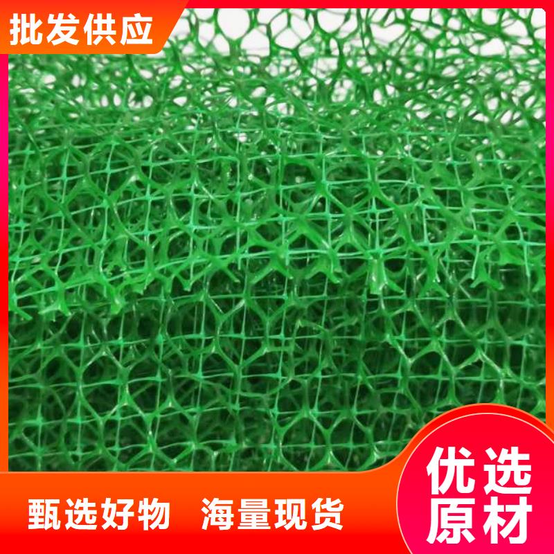 《朋联》呼伦贝尔|包头|鄂尔多斯|乌兰察布|乌海|阿拉善【三维植被网】,植草格无中间商厂家直销生产商