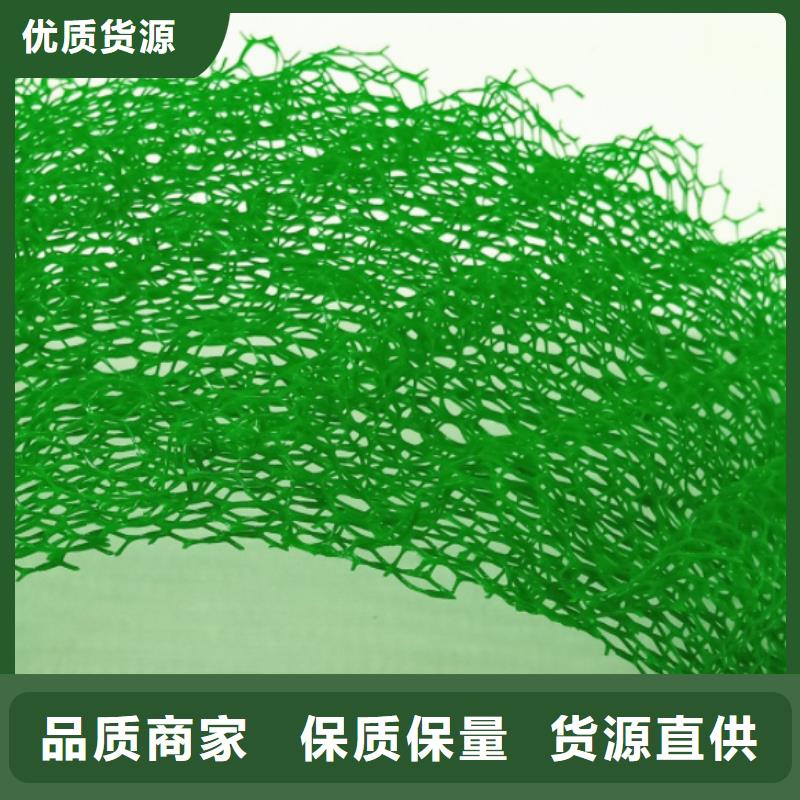 《朋联》呼伦贝尔|包头|鄂尔多斯|乌兰察布|乌海|阿拉善【三维植被网】,植草格无中间商厂家直销生产商