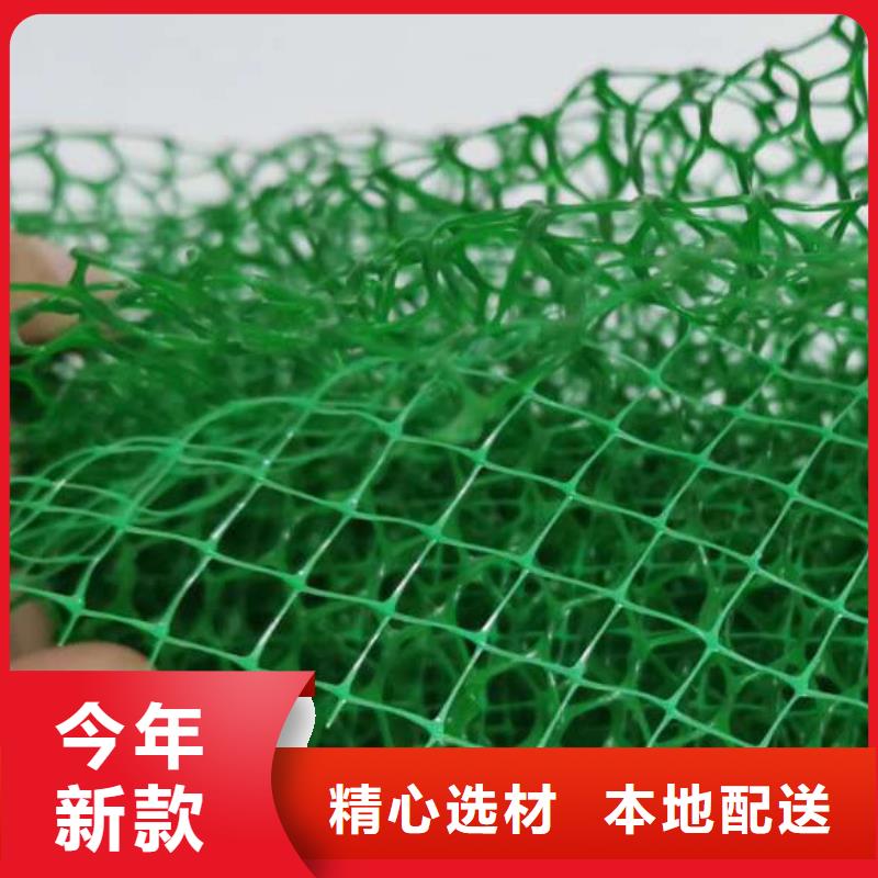 【三维植被网】-排水板专业生产设备|澧县|鼎城|长沙|株洲|怀化|衡阳|湘潭|邵阳|永州kkfgg.com