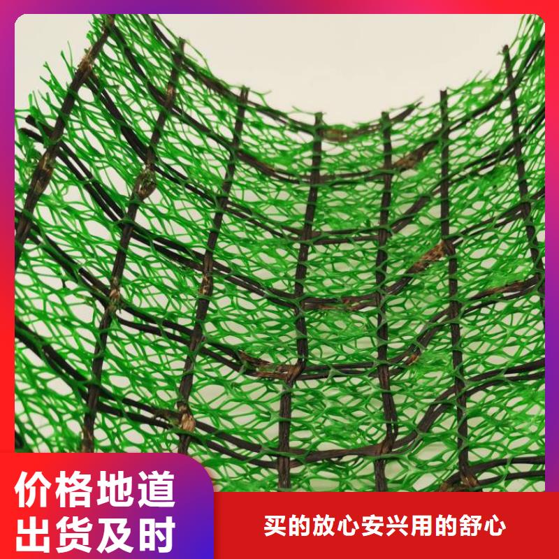 三维植被网排水板卓越品质保障