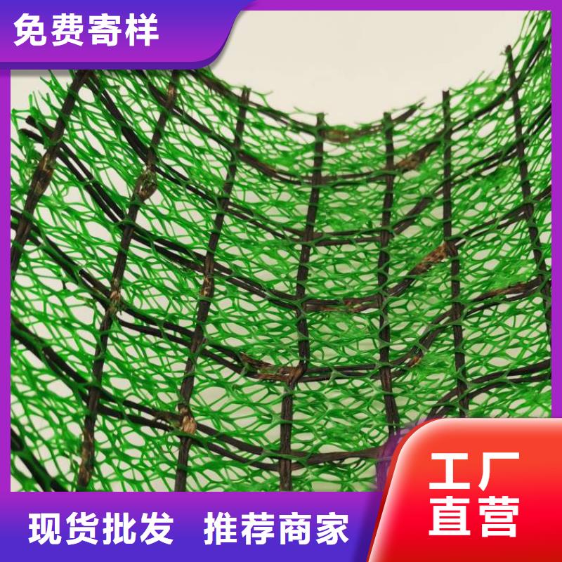 三维植被网,水泥化粪池诚信经营现货现发