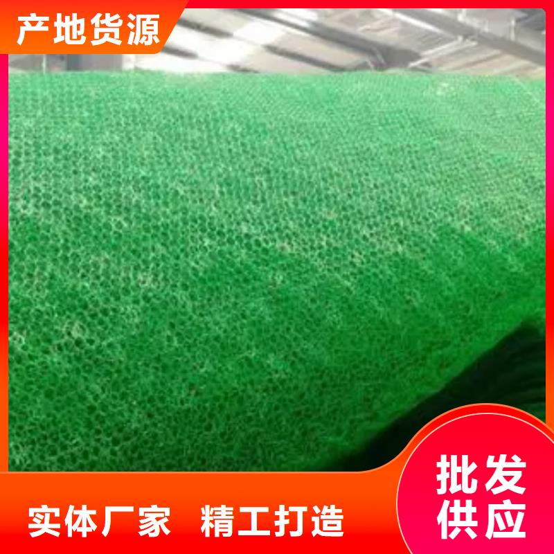 【三维植被网】-排水板专业生产设备|澧县|鼎城|长沙|株洲|怀化|衡阳|湘潭|邵阳|永州kkfgg.com