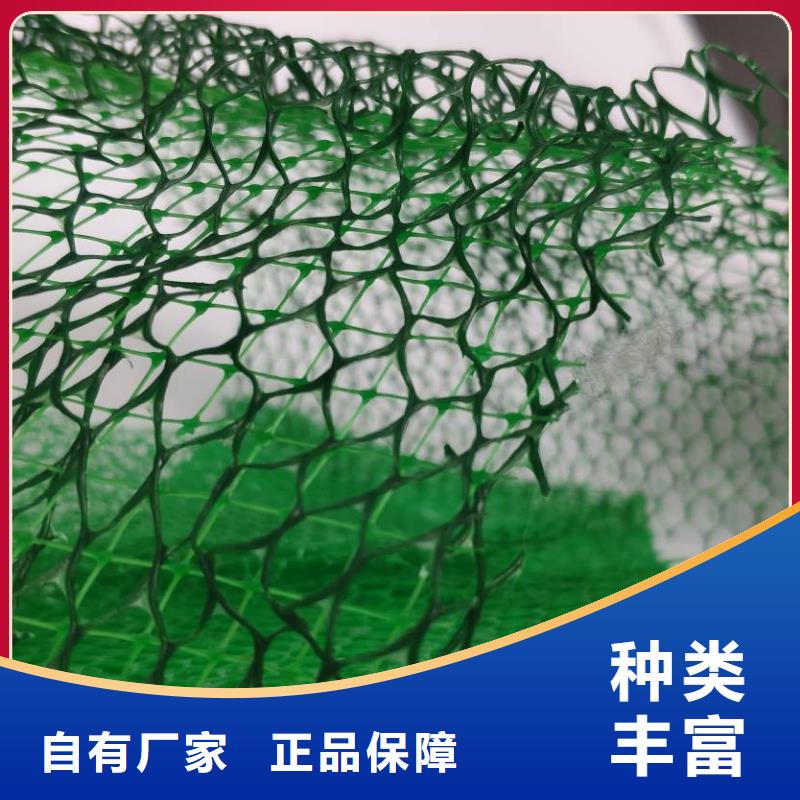 三维植被网-植草格源头厂家