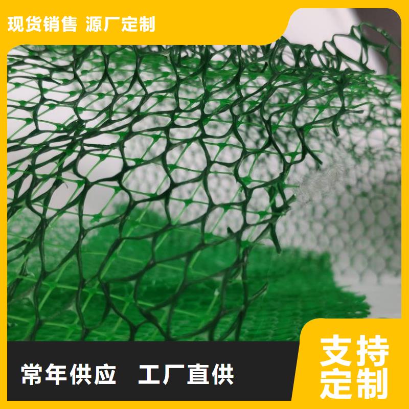 《朋联》呼伦贝尔|包头|鄂尔多斯|乌兰察布|乌海|阿拉善【三维植被网】,植草格无中间商厂家直销生产商