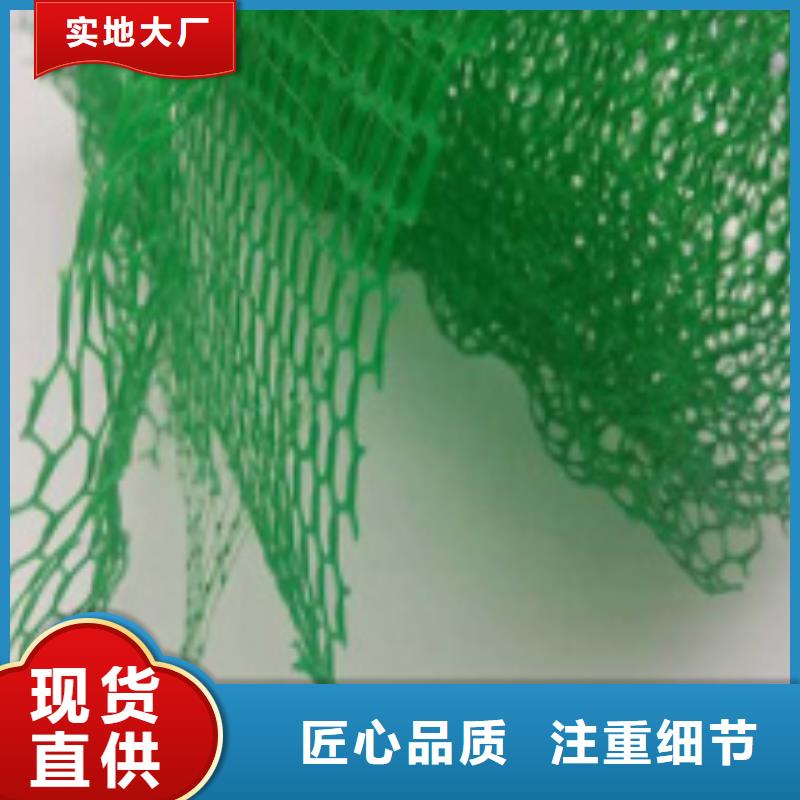 【三维植被网】-排水板专业生产设备|澧县|鼎城|长沙|株洲|怀化|衡阳|湘潭|邵阳|永州kkfgg.com