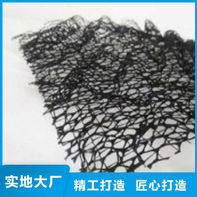 【三维植被网】-排水板专业生产设备|澧县|鼎城|长沙|株洲|怀化|衡阳|湘潭|邵阳|永州kkfgg.com