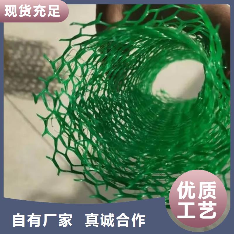 《朋联》呼伦贝尔|包头|鄂尔多斯|乌兰察布|乌海|阿拉善【三维植被网】,植草格无中间商厂家直销生产商