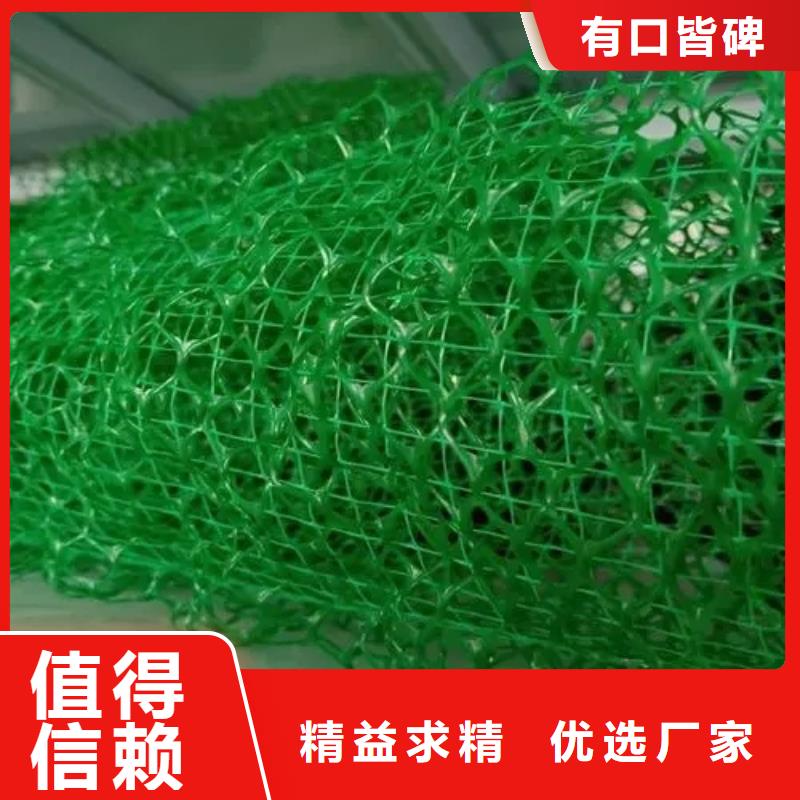 《朋联》呼伦贝尔|包头|鄂尔多斯|乌兰察布|乌海|阿拉善【三维植被网】,植草格无中间商厂家直销生产商
