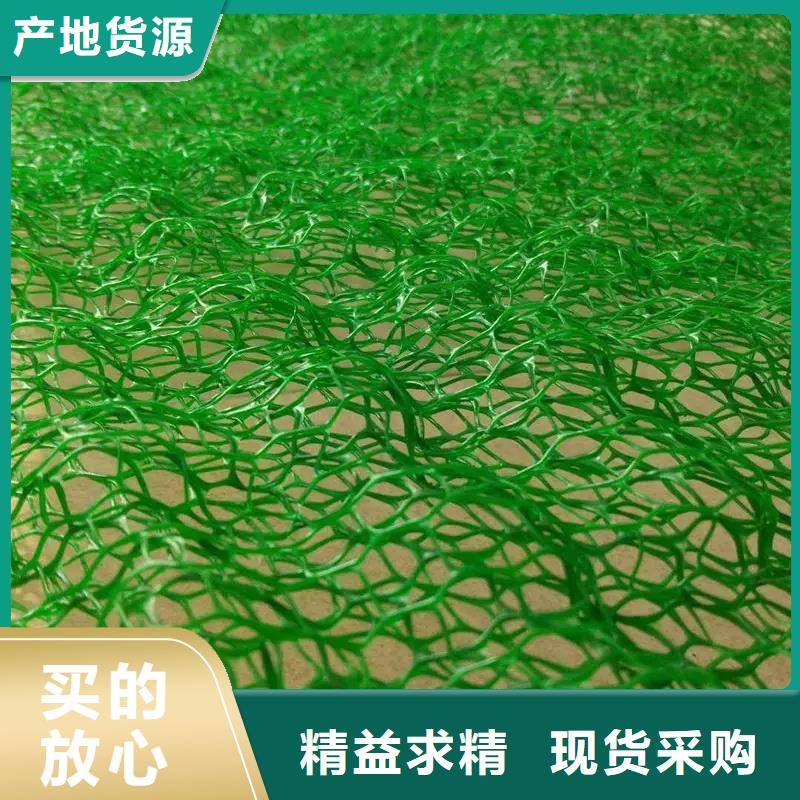 三维植被网-水泥化粪池工厂直营