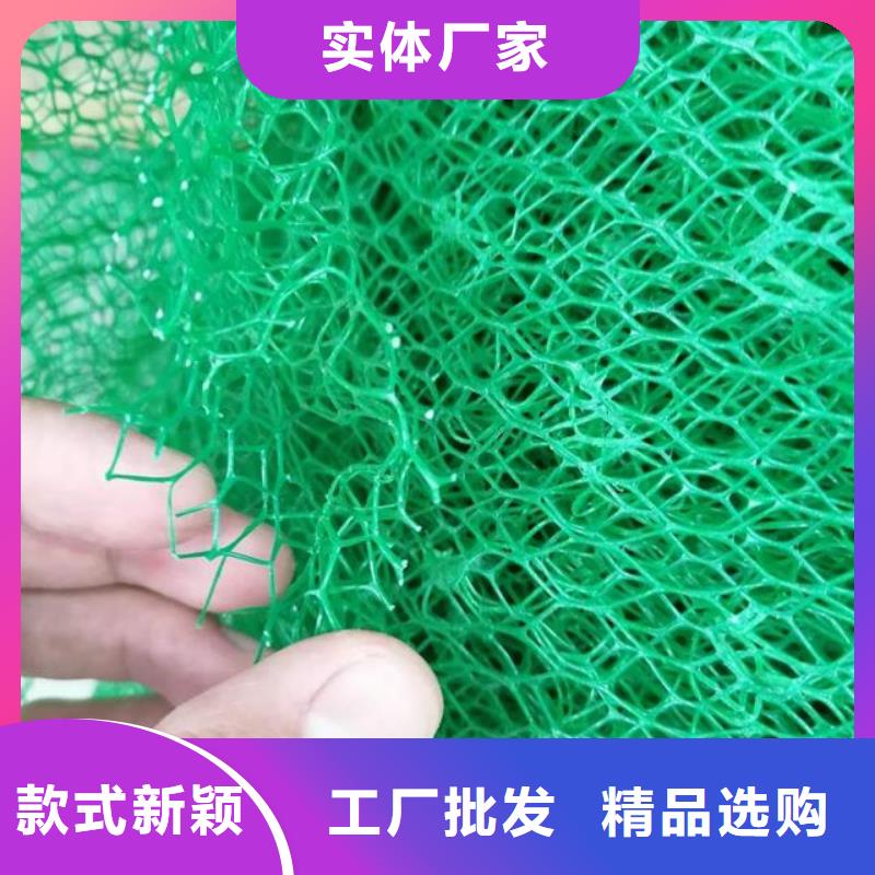 三维植被网【防护虹吸排水收集系统】厂家大量现货