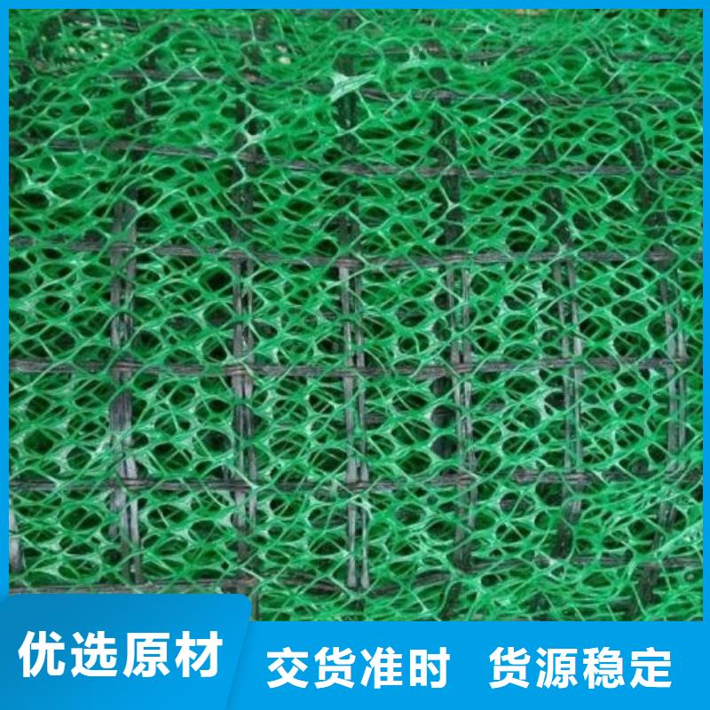 三维植被网【防护虹吸排水收集系统】厂家大量现货