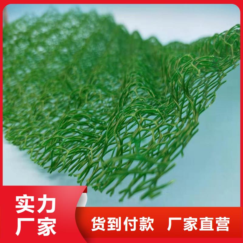 【三维植被网】-排水板专业生产设备|澧县|鼎城|长沙|株洲|怀化|衡阳|湘潭|邵阳|永州kkfgg.com