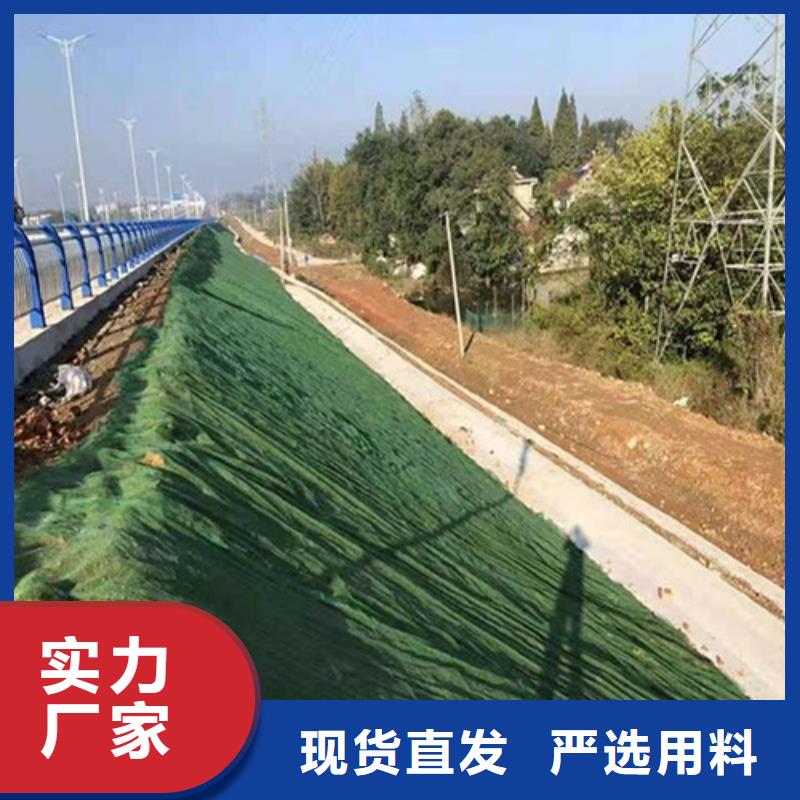 三维植被网排水板卓越品质保障