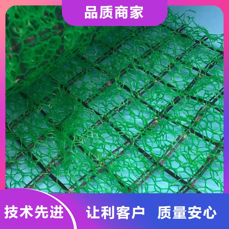 三维植被网-水泥化粪池工厂直营