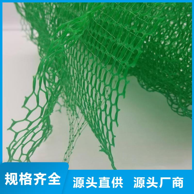 三维植被网排水板卓越品质保障
