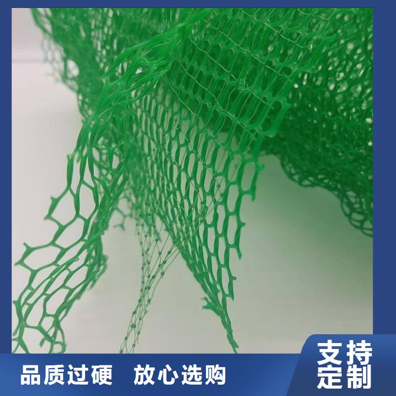 《朋联》呼伦贝尔|包头|鄂尔多斯|乌兰察布|乌海|阿拉善【三维植被网】,植草格无中间商厂家直销生产商