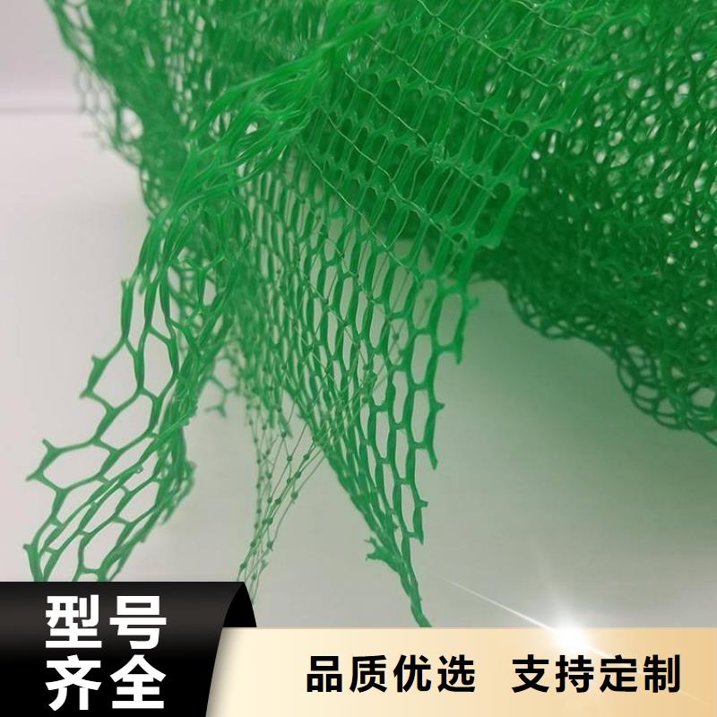 三维植被网-水泥化粪池工厂直营