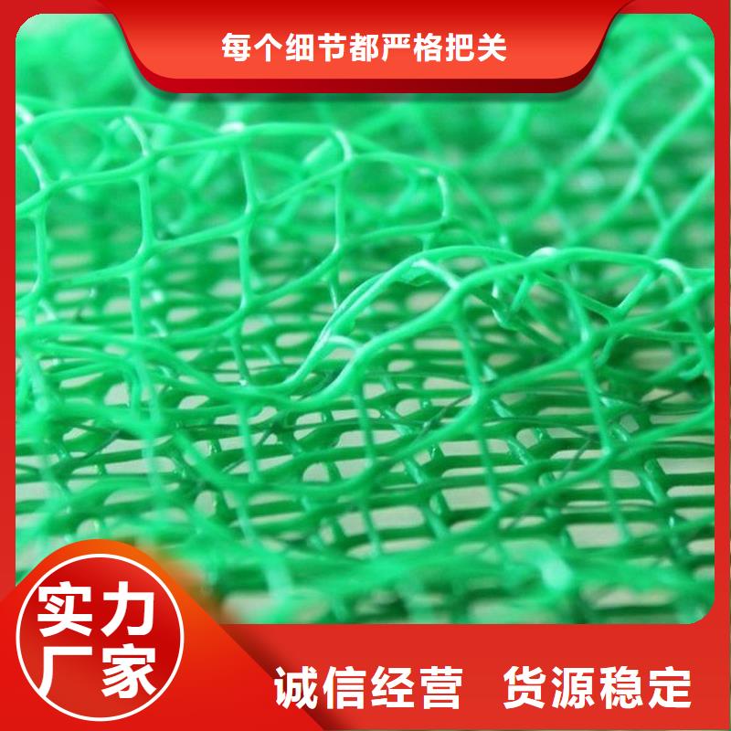 三维植被网-水泥化粪池工厂直营