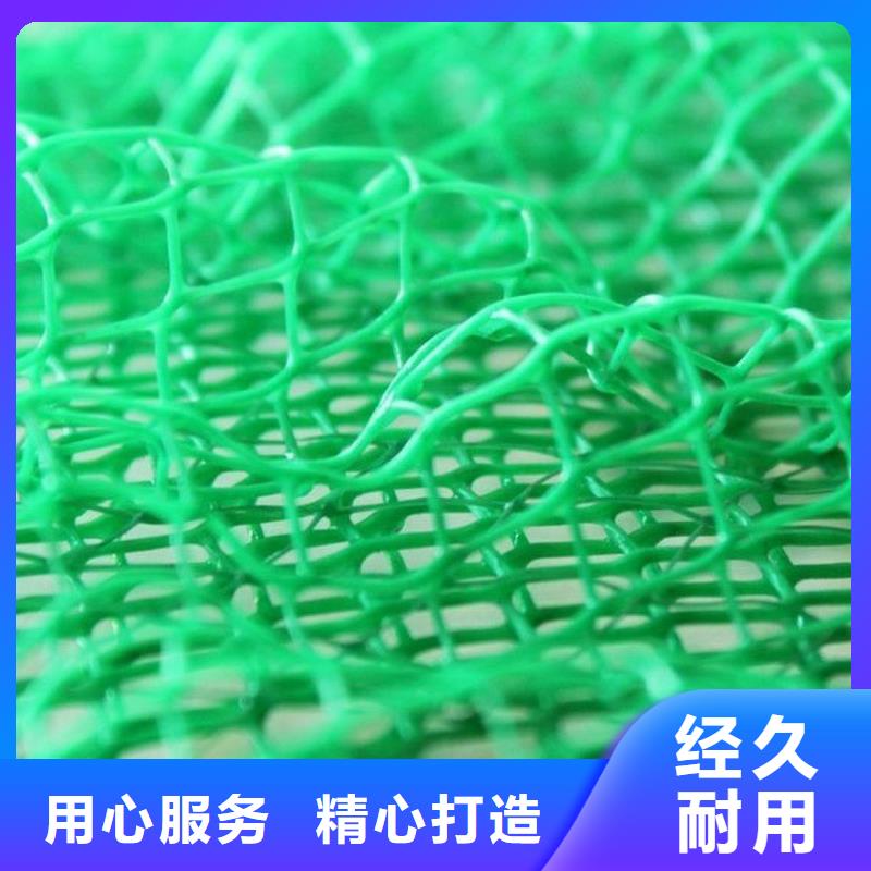 三维植被网排水板卓越品质保障