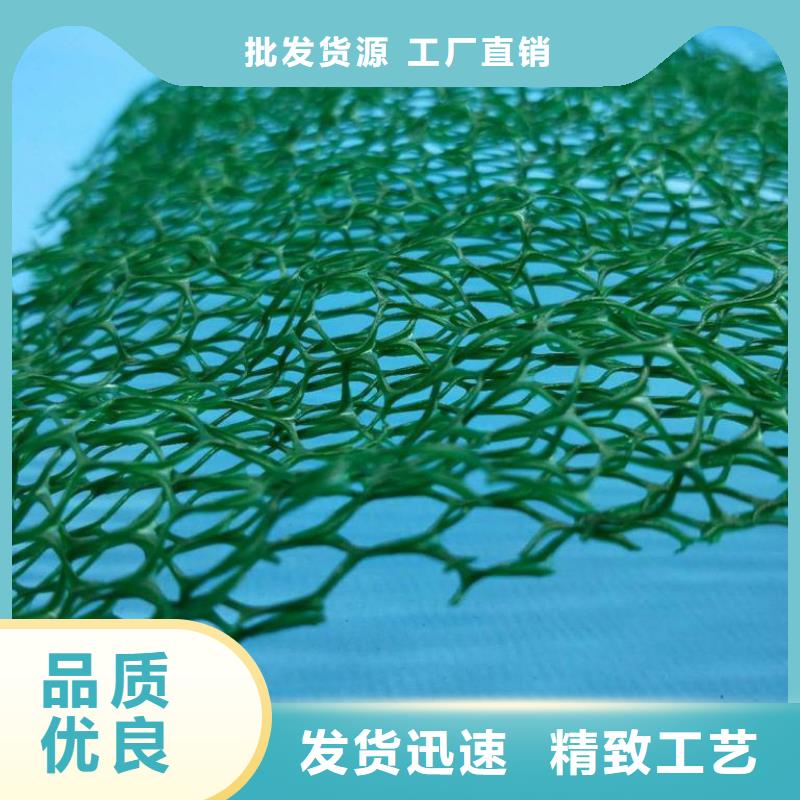 三维植被网排水板卓越品质保障