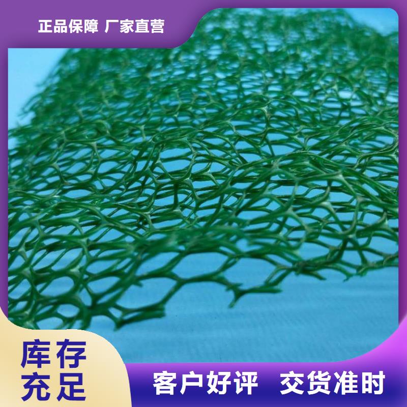 三维植被网-水泥化粪池工厂直营