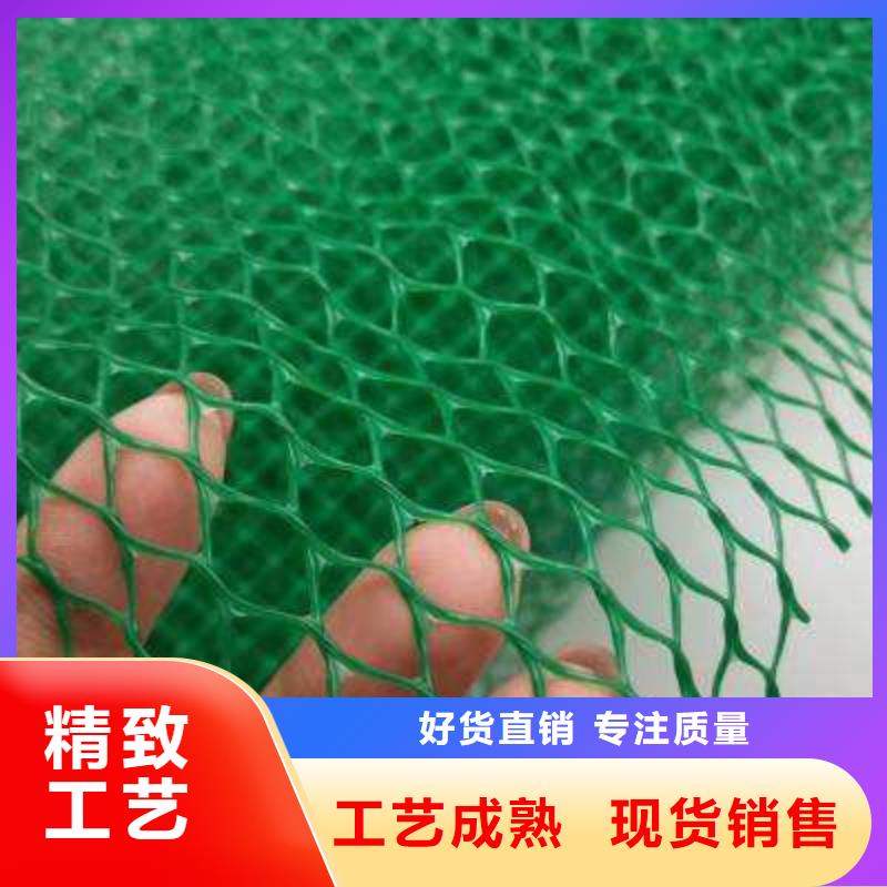 三维植被网-水泥化粪池工厂直营
