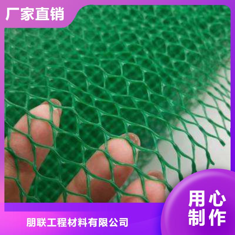 三维植被网排水板卓越品质保障