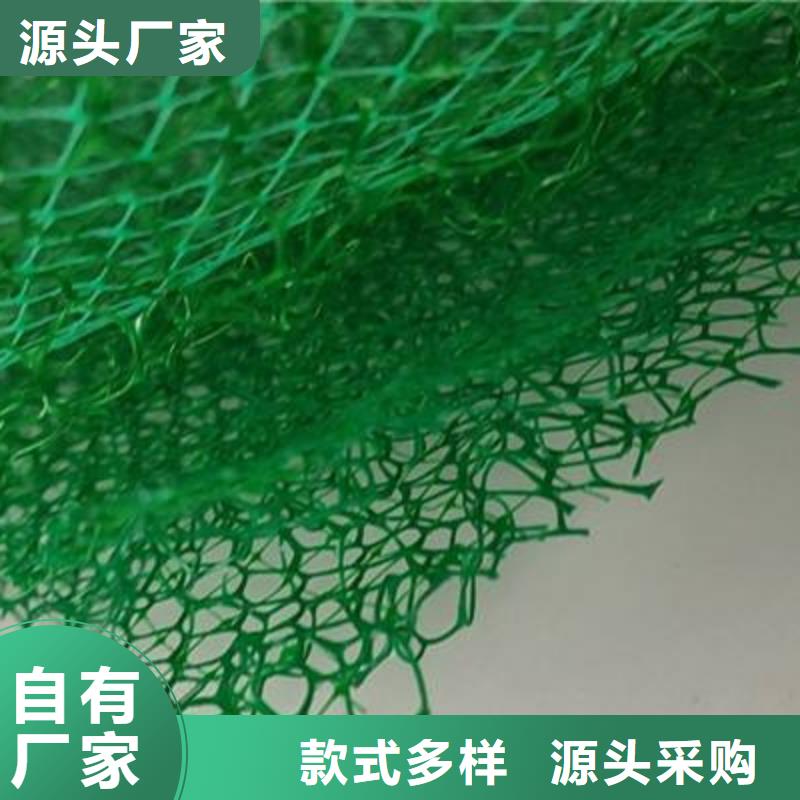 三维植被网-水泥化粪池工厂直营