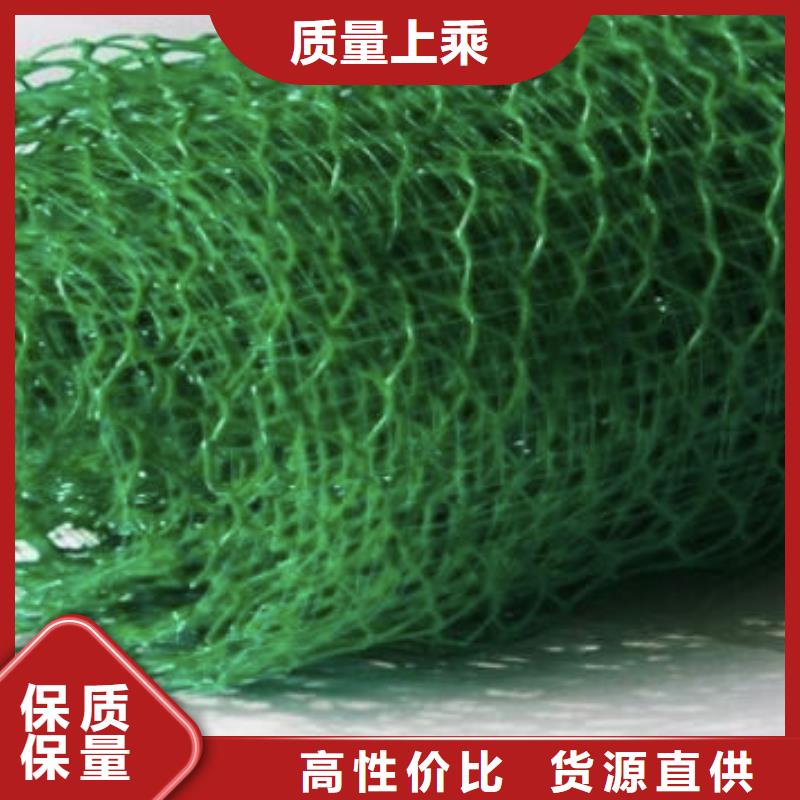三维植被网-水泥化粪池工厂直营