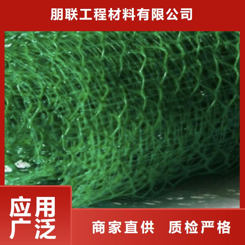三维植被网排水板卓越品质保障