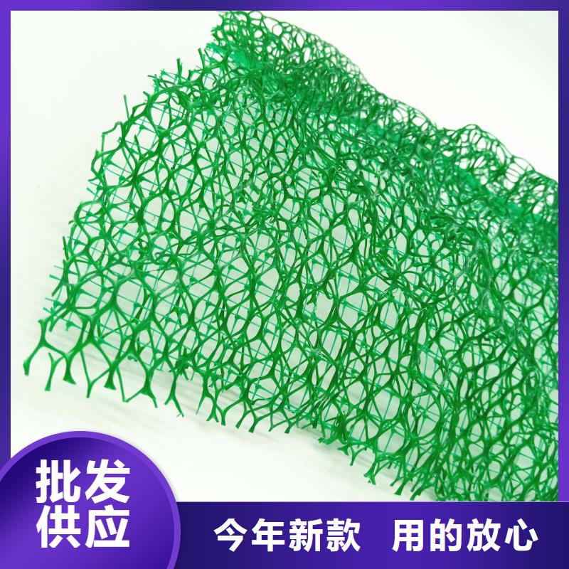 三维植被网-水泥化粪池工厂直营