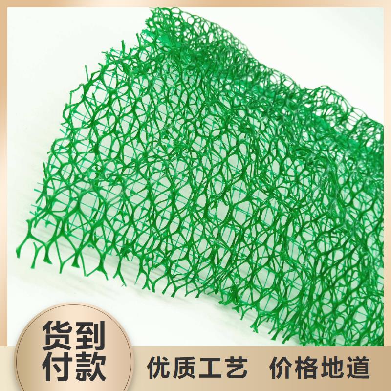 三维植被网【防护虹吸排水收集系统】厂家大量现货