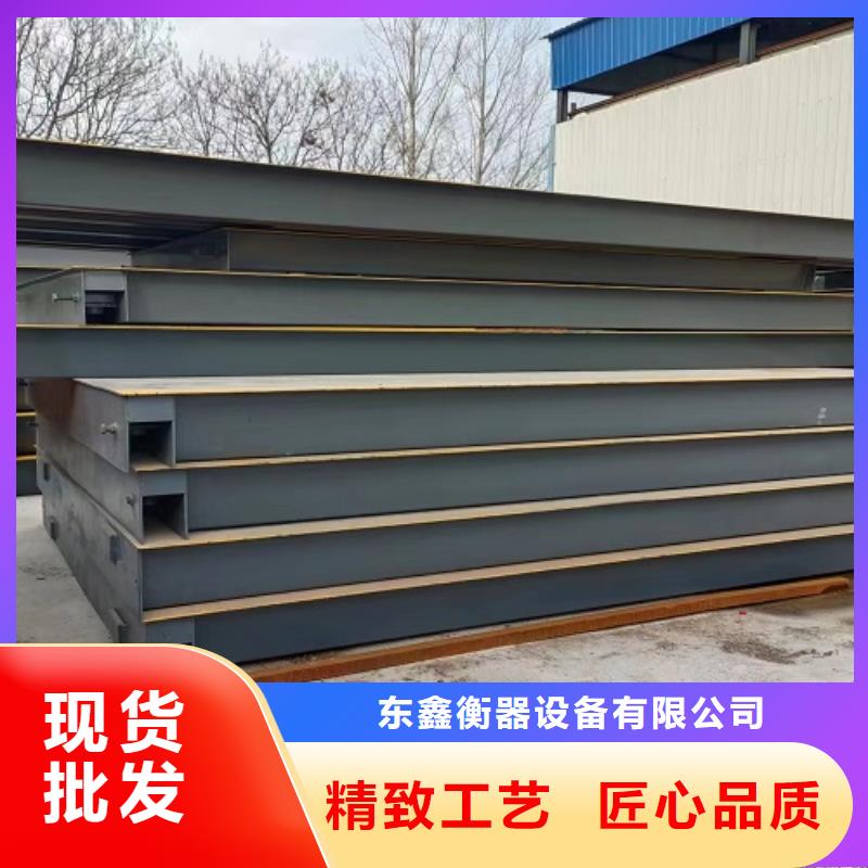 地磅电子衡器规格齐全实力厂家