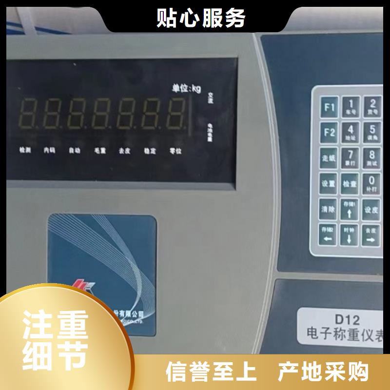 电子地磅,地磅厂家严格把控质量