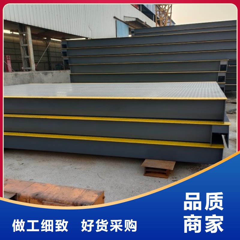  电子地磅源厂直接供货