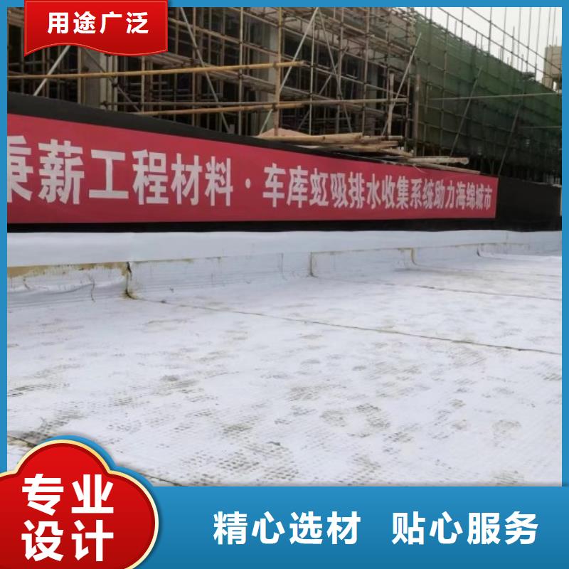 排水板 虹吸排水系统多年厂家可靠