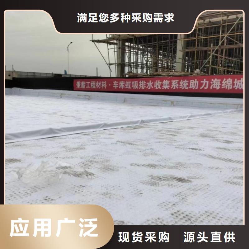 排水板防水板实力才是硬道理
