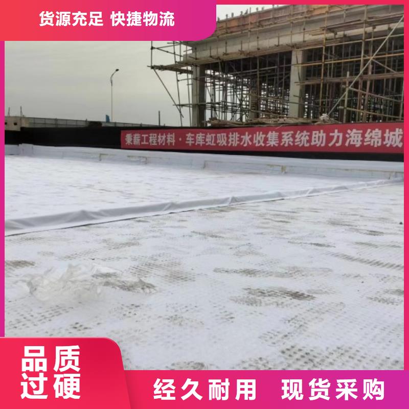 【排水板-复合土工膜发货及时】