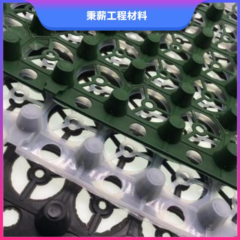排水板 塑料盲沟管极速发货