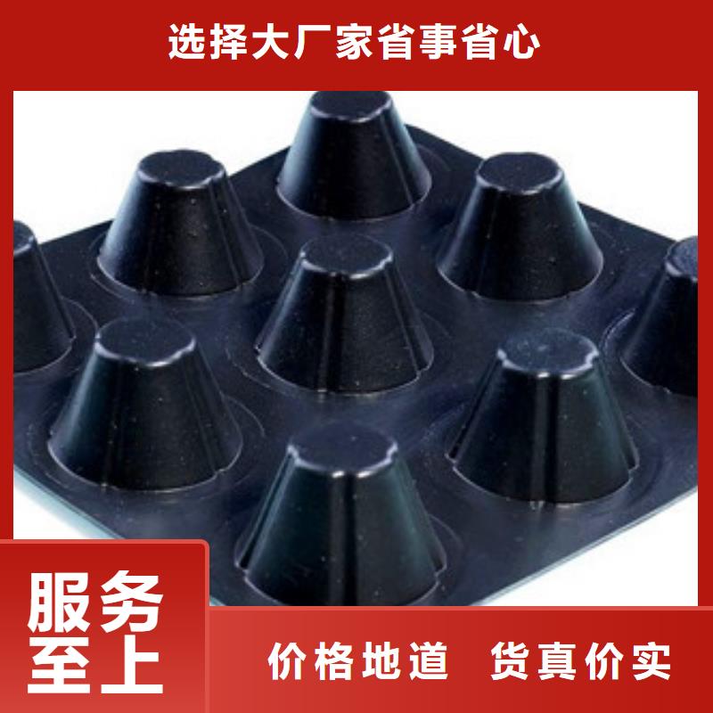 排水板防水板实力才是硬道理