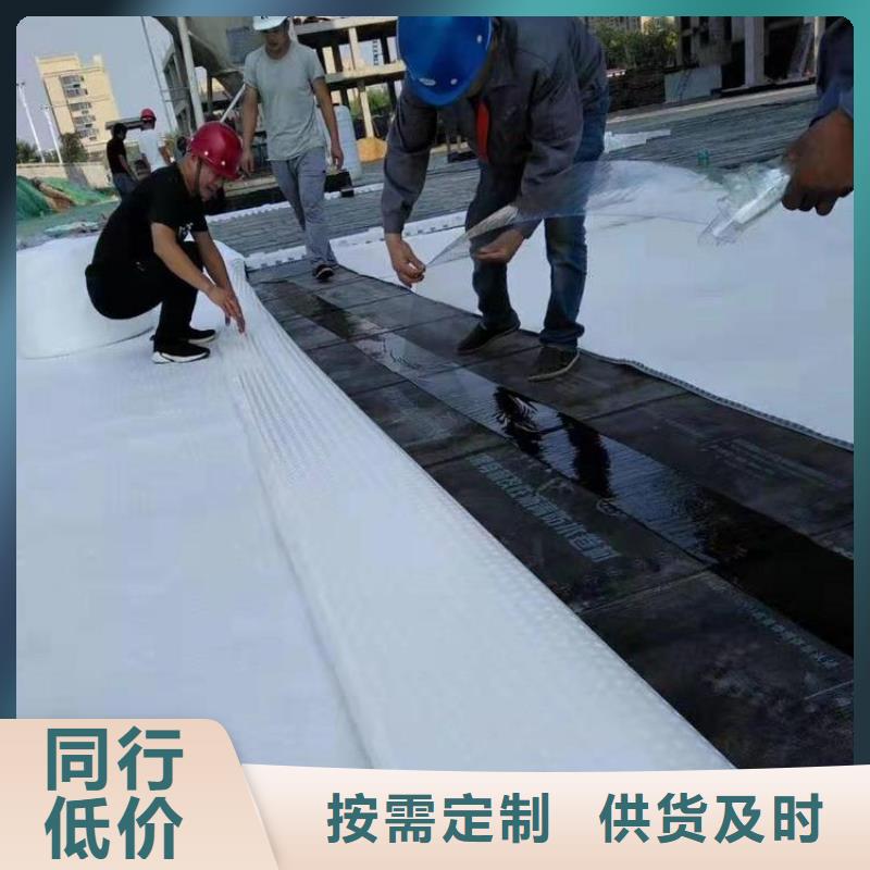 排水板三维植被网高标准高品质