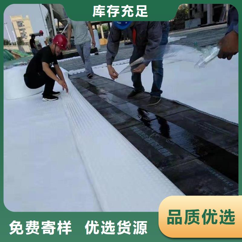 排水板滤水板厂家工艺先进