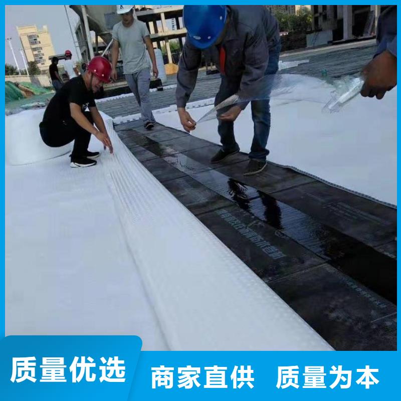 排水板土工膜质量优价格低